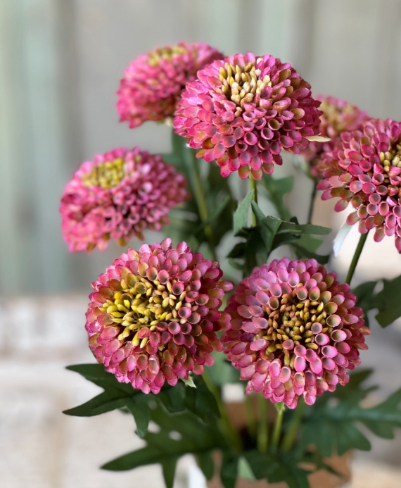 Corsage florets Rosa