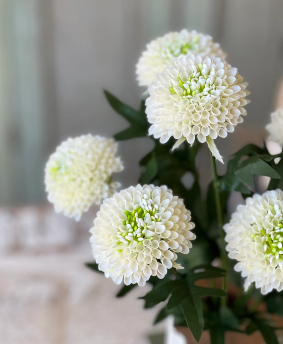 Corsage florets cream