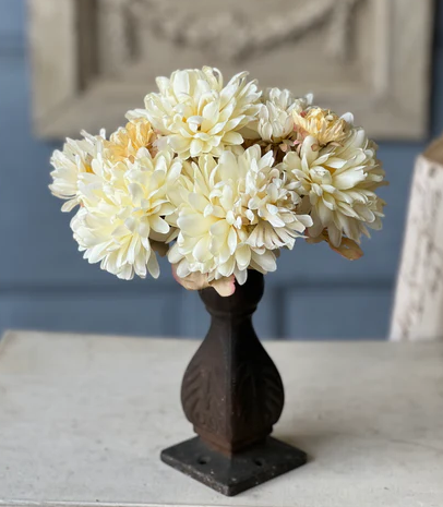 Chantilly Mum Bush Crm