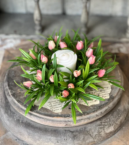 Teacup Tulip CR Pink