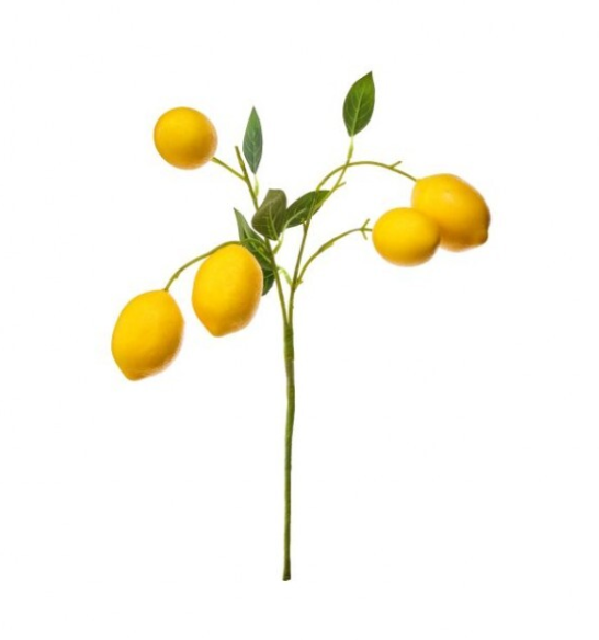 Lemon Pick
