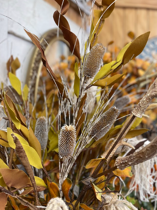 Thistle Stem