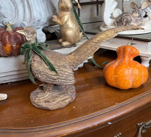 Gold Pheasant