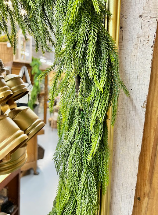 58” NorfolkPine Gar