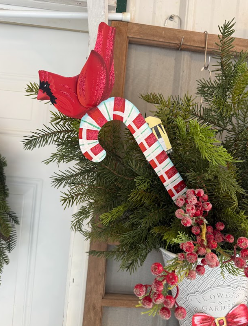 C24011 Cardinal Cane