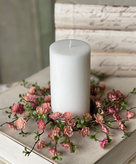 Quince blooms pink CR