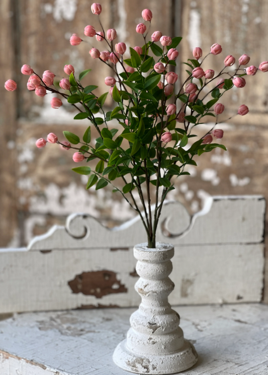 Billows Bush Pink 15.5”