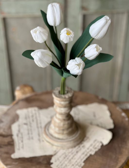 Triumph tulip bundle