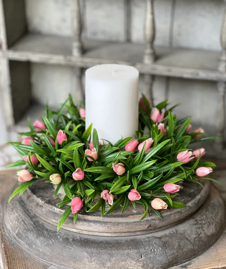 Teacup Tulip CR Pink