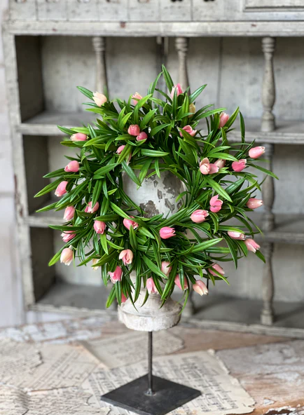 Teacup Tulip CR Pink