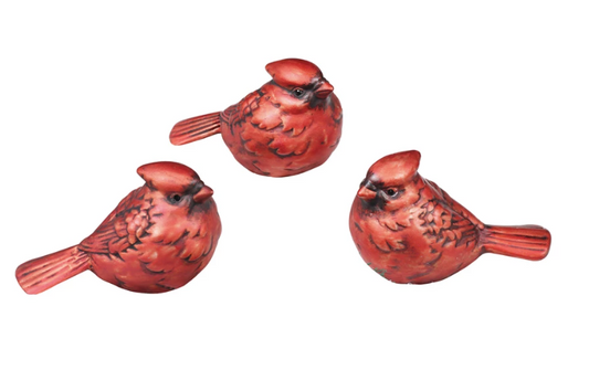 Cardinal