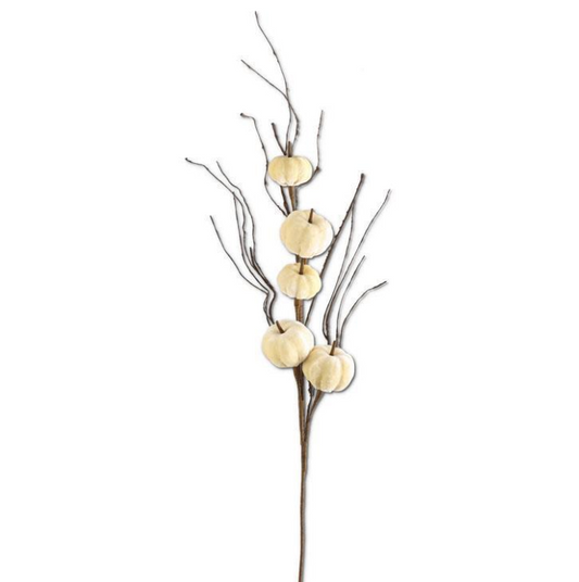 Cream Velvet Pumpkin Stem