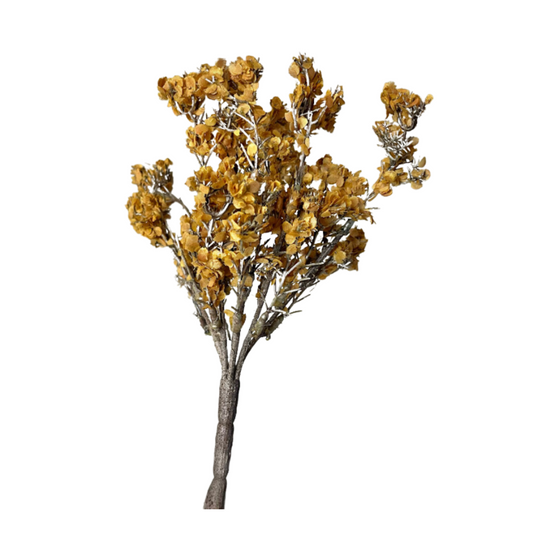 Orchard Bloom Mustard