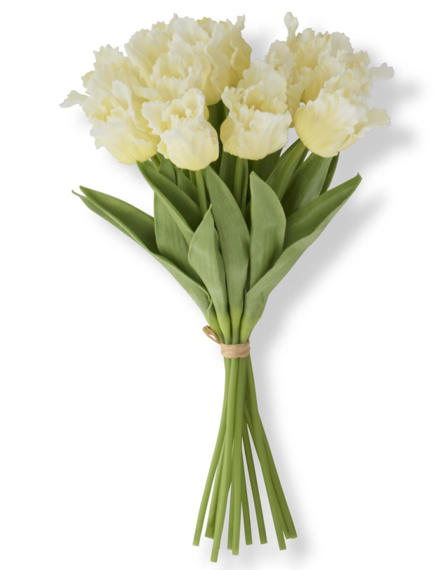 Parrot Tulip