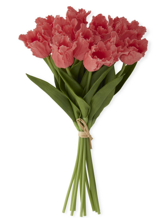 Parrot Tulip